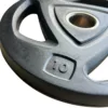 Olympijský TRIGRIP kotúč 10kg